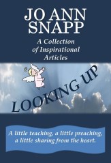 Looking Up e-book cover